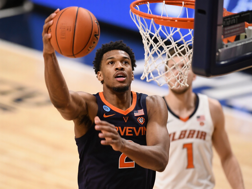 他也能绽放 他也能绽放